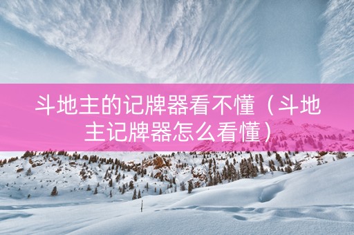 斗地主的记牌器看不懂（斗地主记牌器怎么看懂）