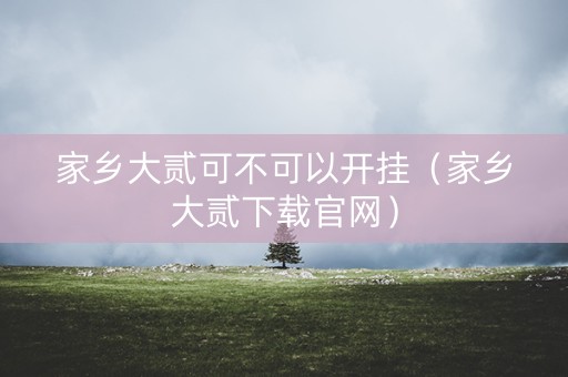 家乡大贰可不可以开挂（家乡大贰下载官网）