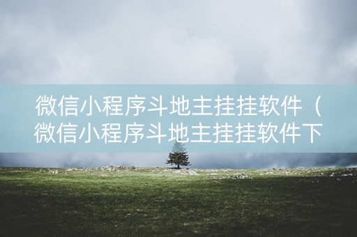 微信小程序斗地主挂挂软件（微信小程序斗地主挂挂软件下载）