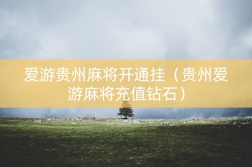 爱游贵州麻将开通挂（贵州爱游麻将充值钻石）