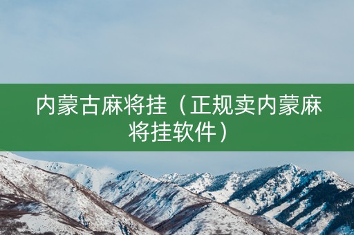 内蒙古麻将挂（正规卖内蒙麻将挂软件）