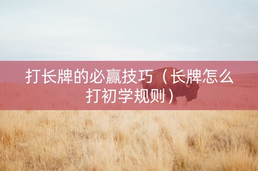 打长牌的必赢技巧（长牌怎么打初学规则）