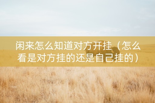闲来怎么知道对方开挂（怎么看是对方挂的还是自己挂的）