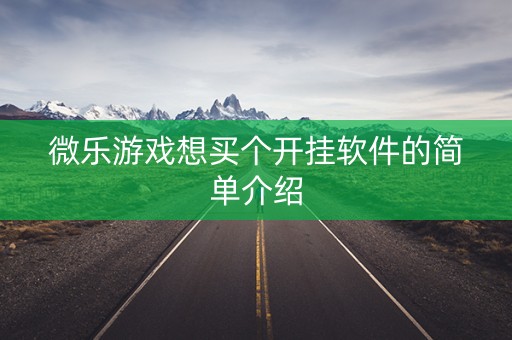 微乐游戏想买个开挂软件的简单介绍