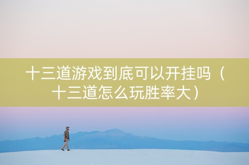 十三道游戏到底可以开挂吗（十三道怎么玩胜率大）