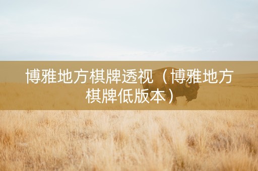 博雅地方棋牌透视（博雅地方棋牌低版本）