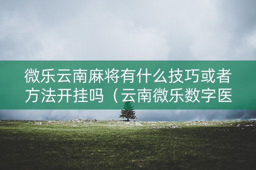 微乐云南麻将有什么技巧或者方法开挂吗（云南微乐数字医疗科技有限公司）