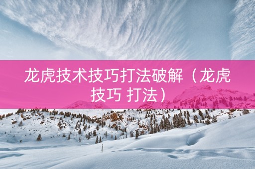 龙虎技术技巧打法破解（龙虎技巧 打法）