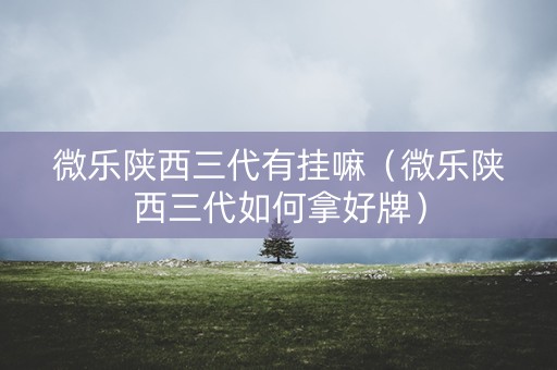 微乐陕西三代有挂嘛（微乐陕西三代如何拿好牌）