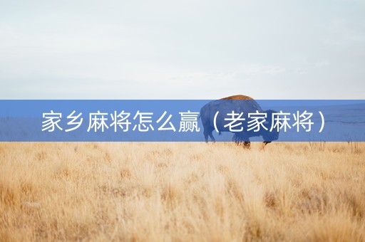 家乡麻将怎么赢（老家麻将）