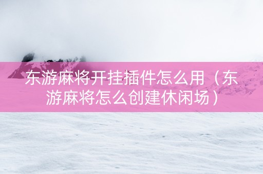 东游麻将开挂插件怎么用（东游麻将怎么创建休闲场）
