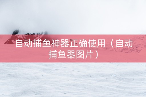 自动捕鱼神器正确使用（自动捕鱼器图片）