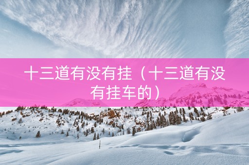 十三道有没有挂（十三道有没有挂车的）