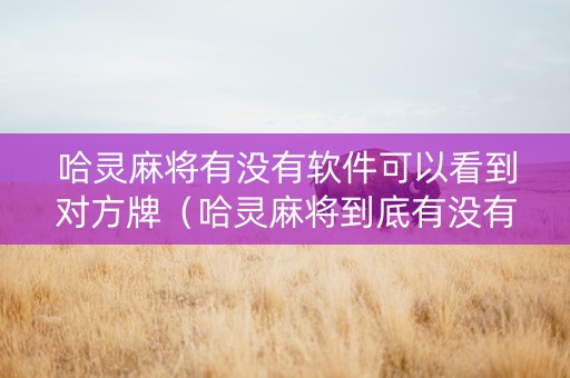哈灵麻将有没有软件可以看到对方牌（哈灵麻将到底有没有挂真人回答）