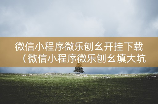 微信小程序微乐刨幺开挂下载（微信小程序微乐刨幺填大坑有挂吗）