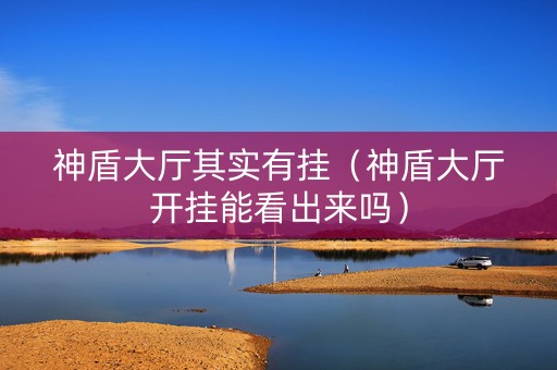 神盾大厅其实有挂（神盾大厅开挂能看出来吗）