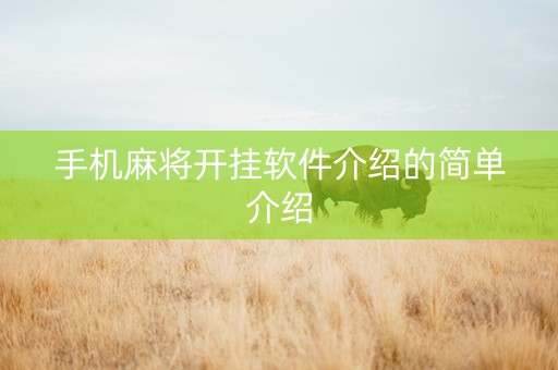 手机麻将开挂软件介绍的简单介绍