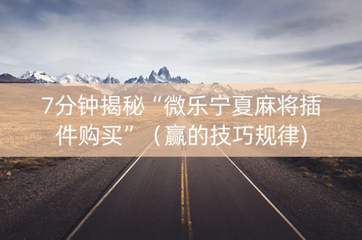 7分钟揭秘“微乐宁夏麻将插件购买”（赢的技巧规律)