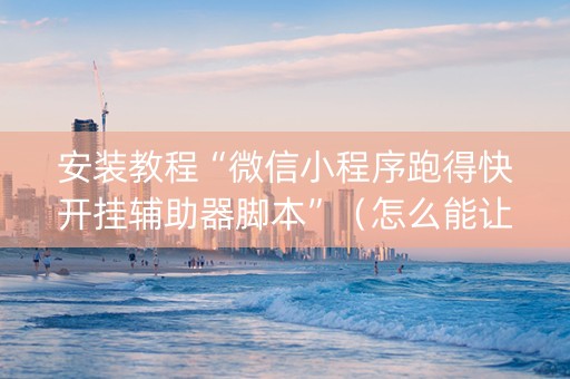 安装教程“微信小程序跑得快开挂辅助器脚本”（怎么能让牌好一点)