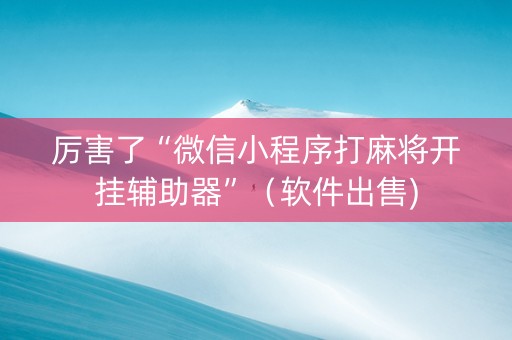 厉害了“微信小程序打麻将开挂辅助器”（软件出售)