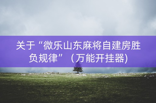 关于“微乐山东麻将自建房胜负规律”（万能开挂器)
