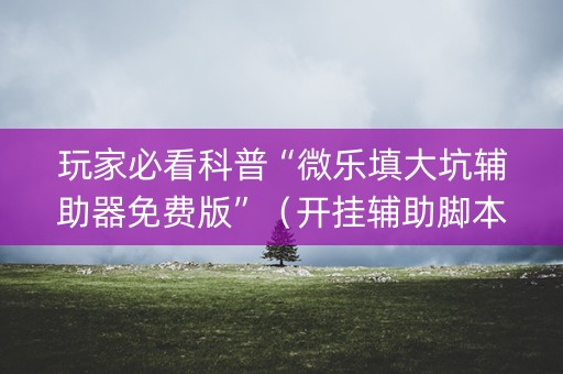 玩家必看科普“微乐填大坑辅助器免费版”（开挂辅助脚本)