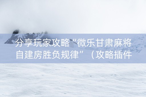分享玩家攻略“微乐甘肃麻将自建房胜负规律”（攻略插件)