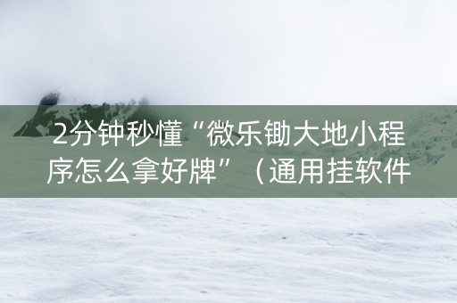2分钟秒懂“微乐锄大地小程序怎么拿好牌”（通用挂软件多少钱)