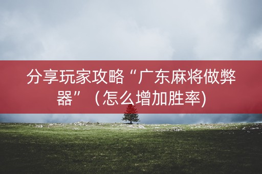 分享玩家攻略“广东麻将做弊器”（怎么增加胜率)