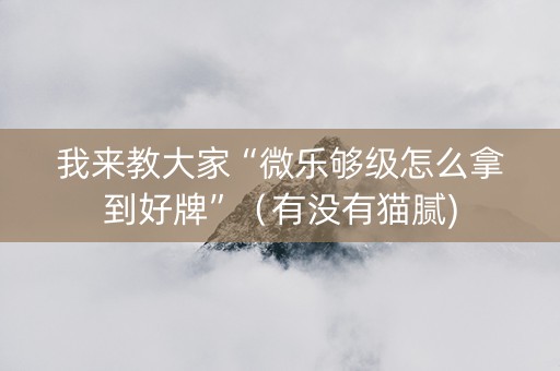 我来教大家“微乐够级怎么拿到好牌”（有没有猫腻)