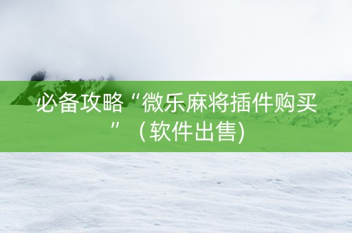 必备攻略“微乐麻将插件购买”（软件出售)