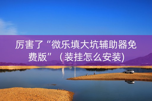 厉害了“微乐填大坑辅助器免费版”（装挂怎么安装)