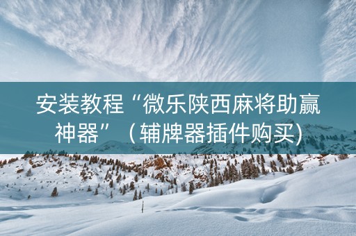安装教程“微乐陕西麻将助赢神器”（辅牌器插件购买)