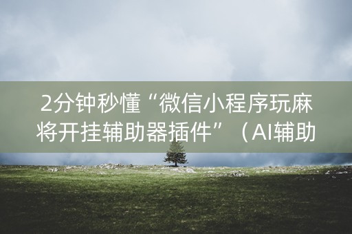 2分钟秒懂“微信小程序玩麻将开挂辅助器插件”（AI辅助胡牌规则)
