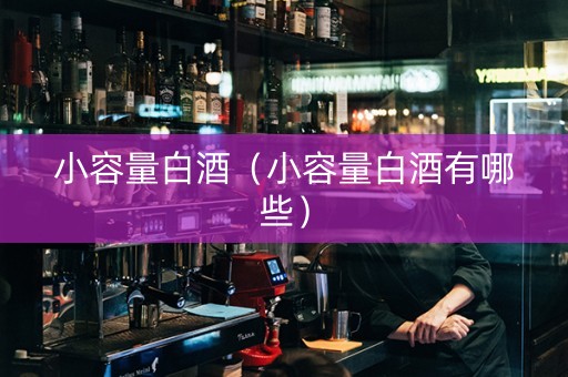 小容量白酒（小容量白酒有哪些）