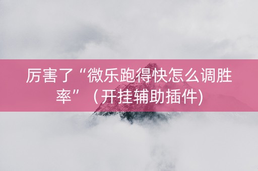 厉害了“微乐跑得快怎么调胜率”（开挂辅助插件)