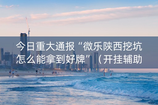 今日重大通报“微乐陕西挖坑怎么能拿到好牌”（开挂辅助器插件)