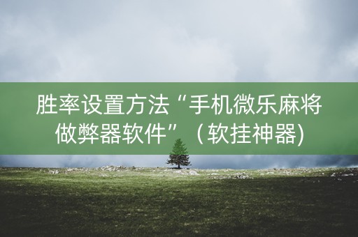 胜率设置方法“手机微乐麻将做弊器软件”（软挂神器)