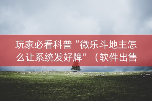 玩家必看科普“微乐斗地主怎么让系统发好牌”（软件出售)