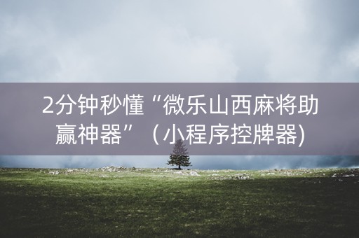 2分钟秒懂“微乐山西麻将助赢神器”（小程序控牌器)