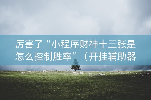 厉害了“小程序财神十三张是怎么控制胜率”（开挂辅助器插件)
