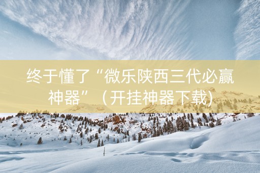 终于懂了“微乐陕西三代必赢神器”（开挂神器下载)