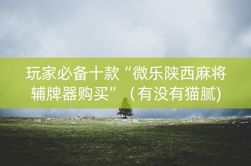 玩家必备十款“微乐陕西麻将辅牌器购买”（有没有猫腻)