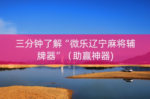 三分钟了解“微乐辽宁麻将辅牌器”（助赢神器)