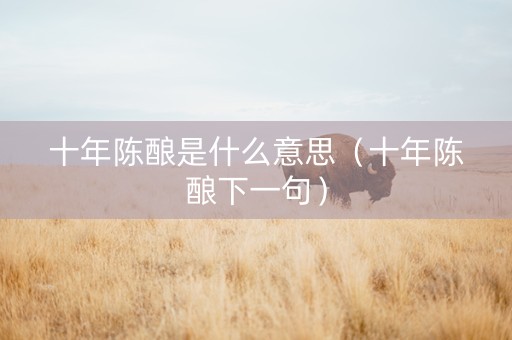 十年陈酿是什么意思（十年陈酿下一句）