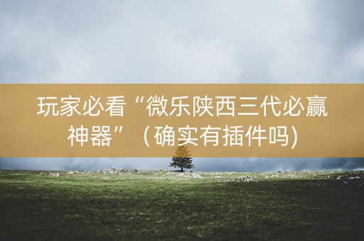 玩家必看“微乐陕西三代必赢神器”（确实有插件吗)