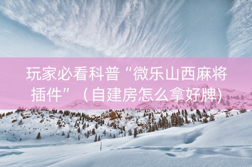 玩家必看科普“微乐山西麻将插件”（自建房怎么拿好牌)