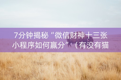 7分钟揭秘“微信财神十三张小程序如何赢分”（有没有猫腻)