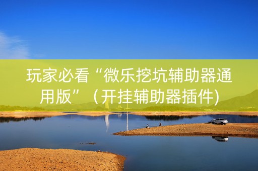 玩家必看“微乐挖坑辅助器通用版”（开挂辅助器插件)