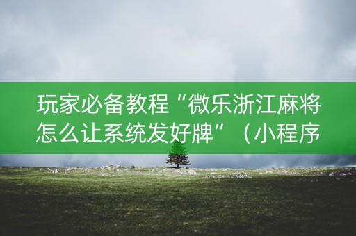 玩家必备教程“微乐浙江麻将怎么让系统发好牌”（小程序必赢神器)
